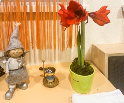 Bild-02